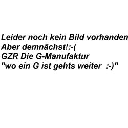 Leitung-Kupplung 460/461 bei GL 76 Getriebe